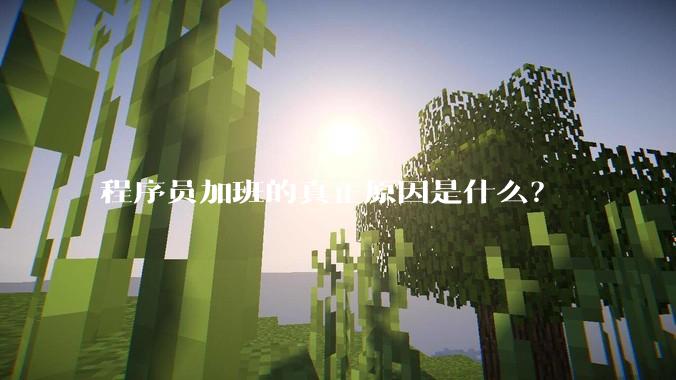 程序员加班的真正原因是什么？