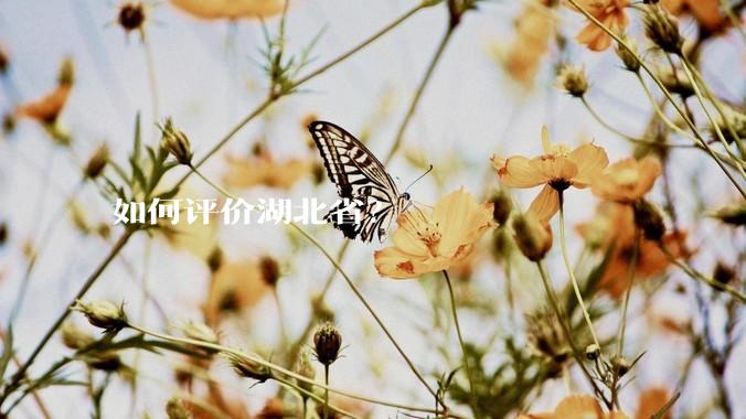 如何评价湖北省？