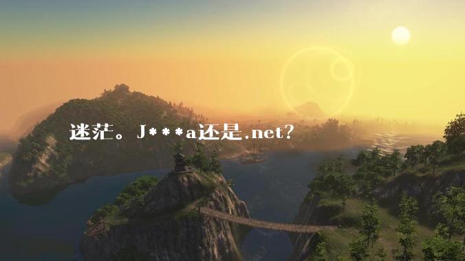 迷茫。J***a还是.net？