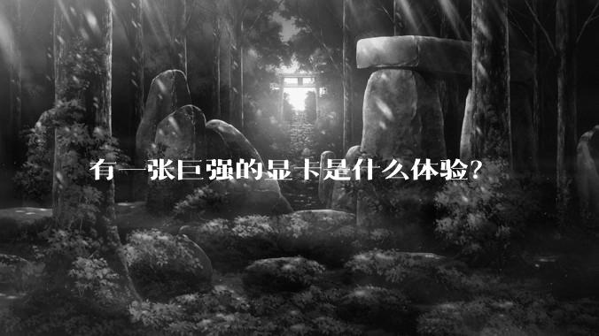 有一张巨强的显卡是什么体验？